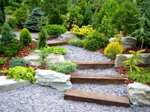 Low-maintenance landscaped yard with gravel pathway, wooden steps, natural stone edging, and native evergreen plants
